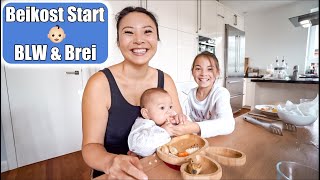 Babys 1 Essen 👶🏻 Beikost Start mit BLW amp Brei Selber kochen  Mama VLOG  Mamiseelen [upl. by Jaqitsch879]