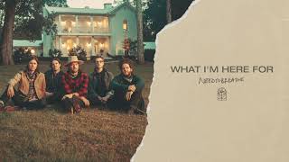 NEEDTOBREATHE  quotWhat Im Here Forquot Official Audio [upl. by Ahseekan]