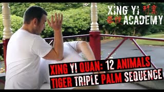 Xing Yi Quan Tiger Triple Palm Sequence Xingyiquan  Hsing I Chuan [upl. by Allayne]