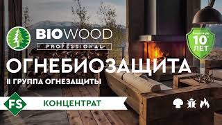 Огнебиозащита для древесины Инновационный эффективный состав BIOWOOD FS [upl. by Jamin]