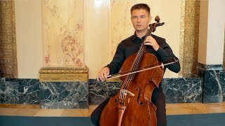 Staatsorchester Stuttgart  Musiker und ihre Instrumente  DAS VIOLONCELLO [upl. by Kenimod]