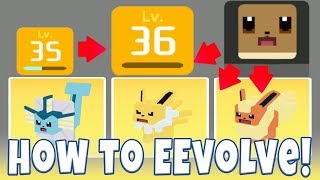 How To Evolve Eevee in Pokemon Quest ALL EEVOLUTIONS Vaporeon Jolteon amp Flareon Evolution Guide [upl. by Barram]