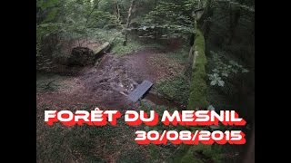 Timelapse Forêt du mesnil 30082015 [upl. by Aanas]