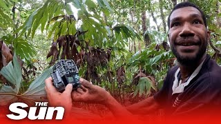 Moment researchers photograph bird last seen 140 years ago [upl. by Kayle934]