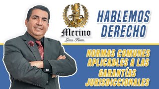 Normas comunes aplicables a las Garantías Jurisdiccionales  Hablemos Derecho [upl. by Ailimac]