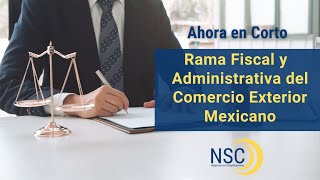 Legislación del Comercio Exterior  Ramas Fiscal y Administrativa Shorts 0028 [upl. by Braden124]