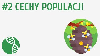 Cechy populacji 2  Ekologia [upl. by Dante]