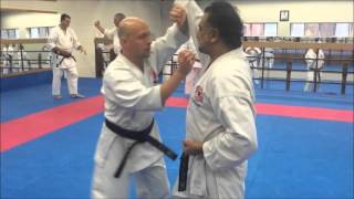 Chito Ryu Karate Canada Instructor Training [upl. by Aynnat]