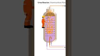 Urea reactor Training Fertilizer Academy amp UreaKnowHow [upl. by Laaspere]