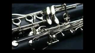 Through the Fire and Flames Cover Clarinet Choir [upl. by Nanine]