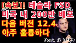 속보 테슬라 FSD 미국 내 200만 배포 Paril Jain  FSD V124 아주 훌륭하다  Tesla 당장은 이것이 중요  테슬라 투자 [upl. by Suoivatnom]