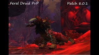 World of Warcraft Legion Prepatch 801 PvP Feral Druid 2v2 Arena [upl. by Eneladgam]