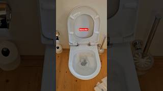 Powerful single flush toilettoiletflushplumber [upl. by Ahseenyt]