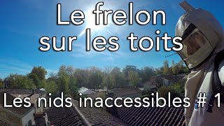 Le frelon sur les toits  Les nids inaccessibles  1 [upl. by Bushey]