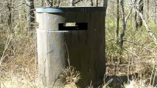 American Black Vulture quotBuzzardquot Eggs in a Deer Blind [upl. by Orian]