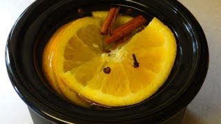 DIY Orange Clove amp Cinnamon Simmering Potpourri [upl. by Christi]