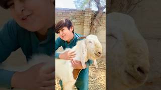 Bakra Eid😱Namaz Ki Fazilat❤️shorts motivation bakraeid2023 motivational eid eidspecial [upl. by Matilde98]