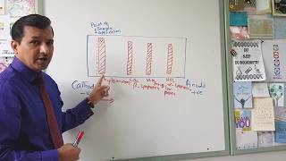 Lipoprotein Electrophoresis [upl. by Eneladgam889]