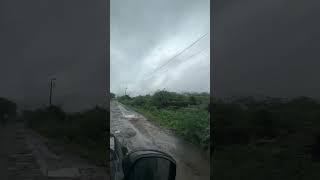 Sariska Alwar sariska pandupol alwar rain travel india nature love [upl. by Alletsirhc]