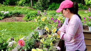 Planting Our Deck Boxes With Loads of Color [upl. by Evonne622]