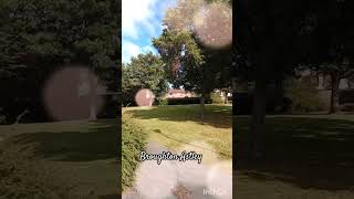 Broughton Astley Leicester ukwalkingtour reels travel tiktok youtube shortvideos trending [upl. by Alracal]