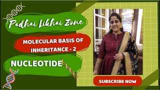 Molecular Basis of Inheritance2biology  neet2024education  molecularbasisofinheritancedna [upl. by Arahk726]