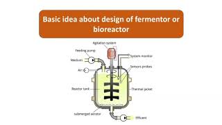 Basic design of fermentor or Bioreactor  fermentor vs fermenter  hindi  Bioreactor  Fermentor [upl. by Norrie]