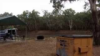 Buckinbong Reserve Murrumbidgee River Narrandera NSW [upl. by Schlessinger]