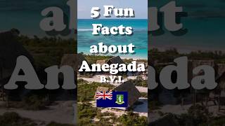 5 Fun Facts About Anegada BVI  Know Before You Go Shorts [upl. by Parlin275]