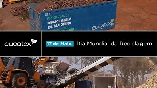 Programa de Reciclagem Eucatex  Cuidar e Preservar [upl. by Dom]