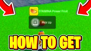 How To GET FRUITS amp ALL FRUIT LOCATIONS In Lost Souls Roblox [upl. by Euqram]