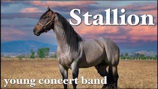 Stallion  for Young Concert Band [upl. by Terra110]