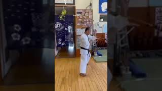 Akamine Hiroshi Sensei Taketenshin 竹転身 [upl. by Cross]