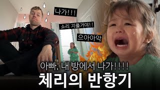 천사 같던 체리가 반항을 시작했어요 이런 경우에는 어떻게 하죠 [upl. by Nicholas]