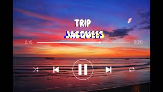 Jacquees  Trip  Lyrics  Trip Trip Tripping on you [upl. by Jaan1]