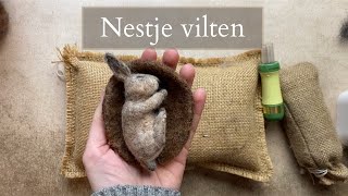 Naaldvilten voor beginners  Nestje of mandje vilten [upl. by Moritz]