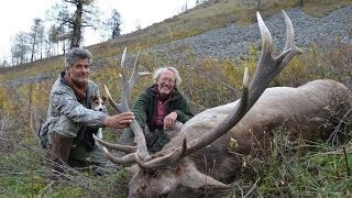 ALTAY MARAL HUNTING Chasse IN KAZAKHSTAN 2013 season By Seladang [upl. by Anedal]