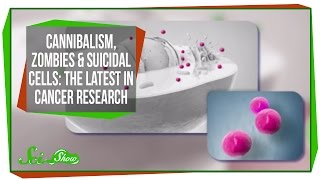 Cannibalism Zombies amp Suicidal Cells The Latest In Cancer Research [upl. by Eyoj]