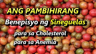 PAMBIHIRANG BENEPISYO NG SINEGUELAS Gamot sa Cholesterol para sa may Anemia sipon lagnat etc [upl. by Bat]