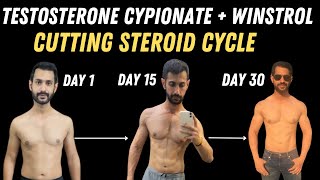 How to use Testosterone Cypionate amp Stanozolol Steroid Cycle for lean muscle gaining [upl. by Mair]