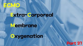 EXTRACORPOREAL MEMBRANE OXYGENATIONECMO PART 37 [upl. by Bronder]