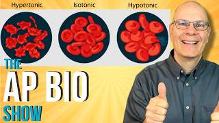 Essential for AP Bio Osmosis and Water Potential [upl. by Holofernes]