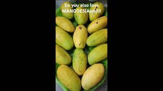 Season of Mangoes 😋 mango favorite viral love fruit season trending ytshortsindia ytviral [upl. by Heimer]