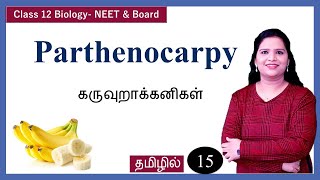 Parthenocarpy amp its Types Class 12 Biology  Tamil [upl. by Neelat108]