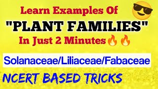 Learn PLANT FAMILIES In 2 Minutes😎 Solanaceae Liliaceae Fabaceae  Ncert Based Tricks  Neet 2021 [upl. by Schreiber]