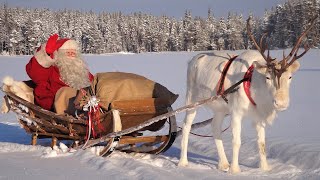 Weihnachtsmann Video für Familien 🦌🎅 Aufbruch des Weihnachtsmanns Lappland Santa Claus reindeer ride [upl. by Ttesil624]