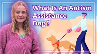 What Is An Autism Assistance Dog [upl. by Kennard]