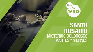 Santo Rosario 📿 Misterios Dolorosos  Martes y Viernes Tele VID SantoRosario TeleVID [upl. by Kizzee]