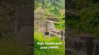 Rajiv Gandhi Zoological park pune pune bear [upl. by Brand]