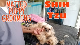 Matted Puppy Grooming Shih Tzu  SemiKalbo [upl. by Temirf982]